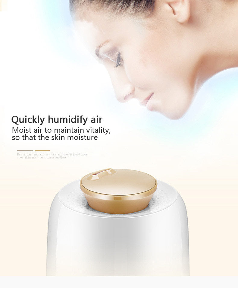 Portable Ultrasonic Aromatherapy Diffuser Humidifier - Organiza