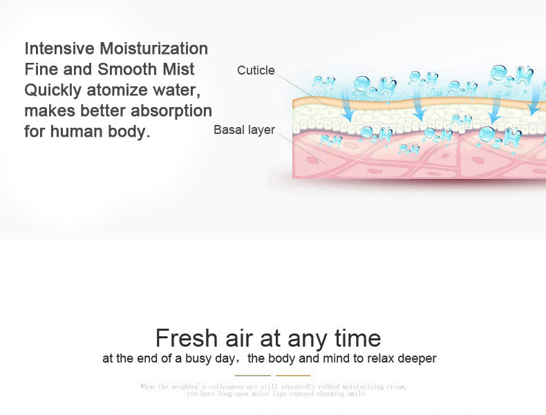 Portable Ultrasonic Aromatherapy Diffuser Humidifier - Organiza