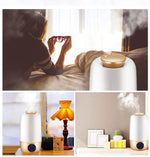 Portable Ultrasonic Aromatherapy Diffuser Humidifier - Organiza