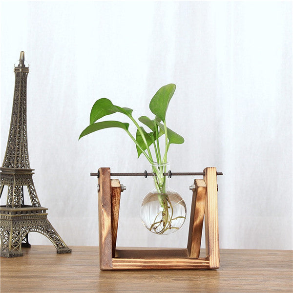 Swinging Vase Plant - Organiza